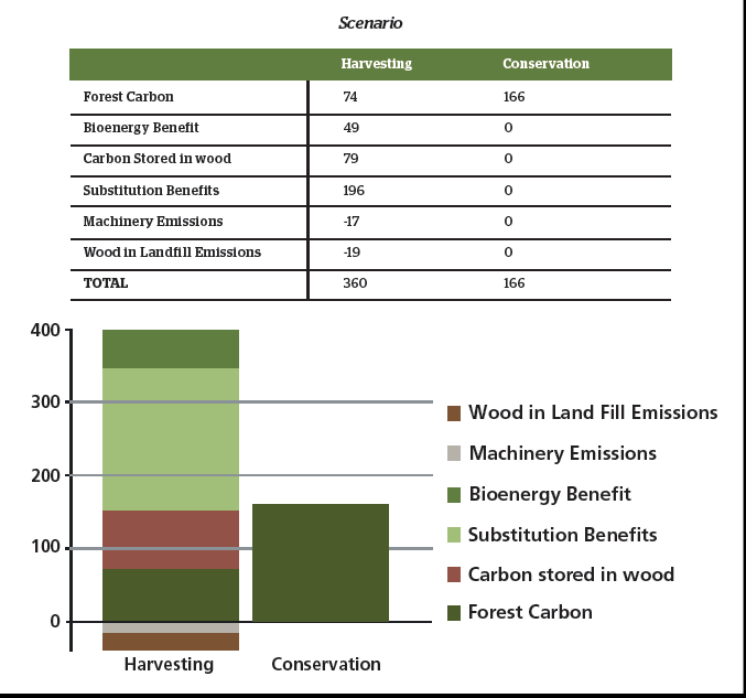 Tonnes of Carbon Stored, 23 january, 2013.png