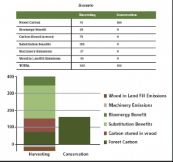 Tonnes of Carbon Stored, 23 january, 2013_0_0.png