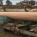 medium_Coffs Hardwoods - Desapping Pole Planer.jpg