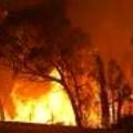 medium_Image - bushfire, 28 March 2014.jpg