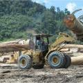 medium_illegal logging 2 June, 2013.jpg